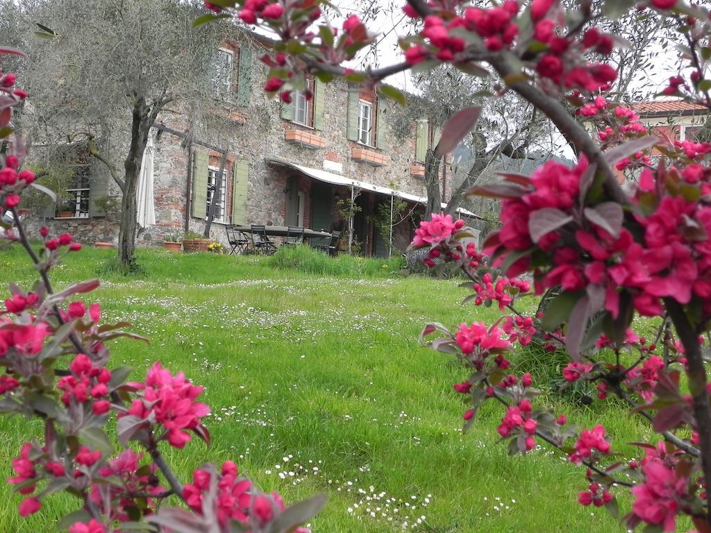 Il Giardino Delle Esperidi Bed & Breakfast Fosdinovo Eksteriør bilde